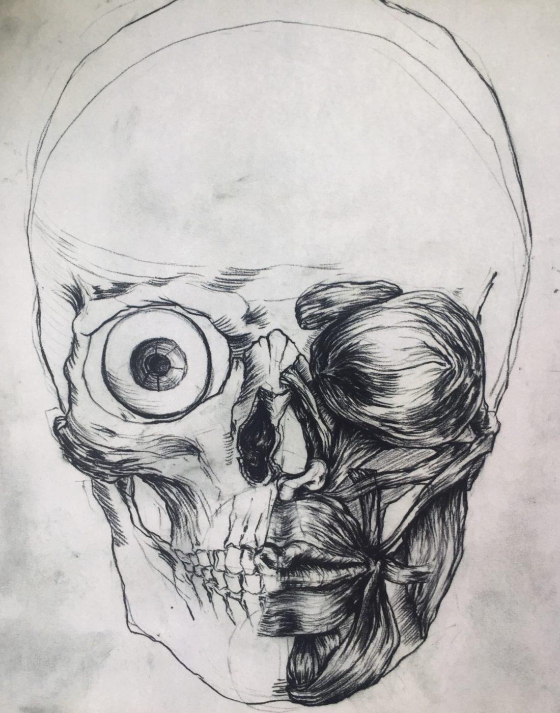 1100x1400 Adult Skull Drawing - Skull Drawing Pics