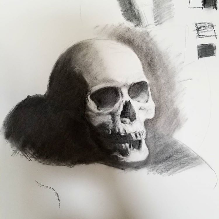 750x750 Skull Drawings Sketches For Art Inspiration - Skull Drawing Pics