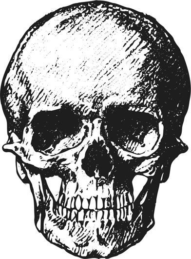 392x531 Cool Skull Clip Art - Skull Drawing Pics