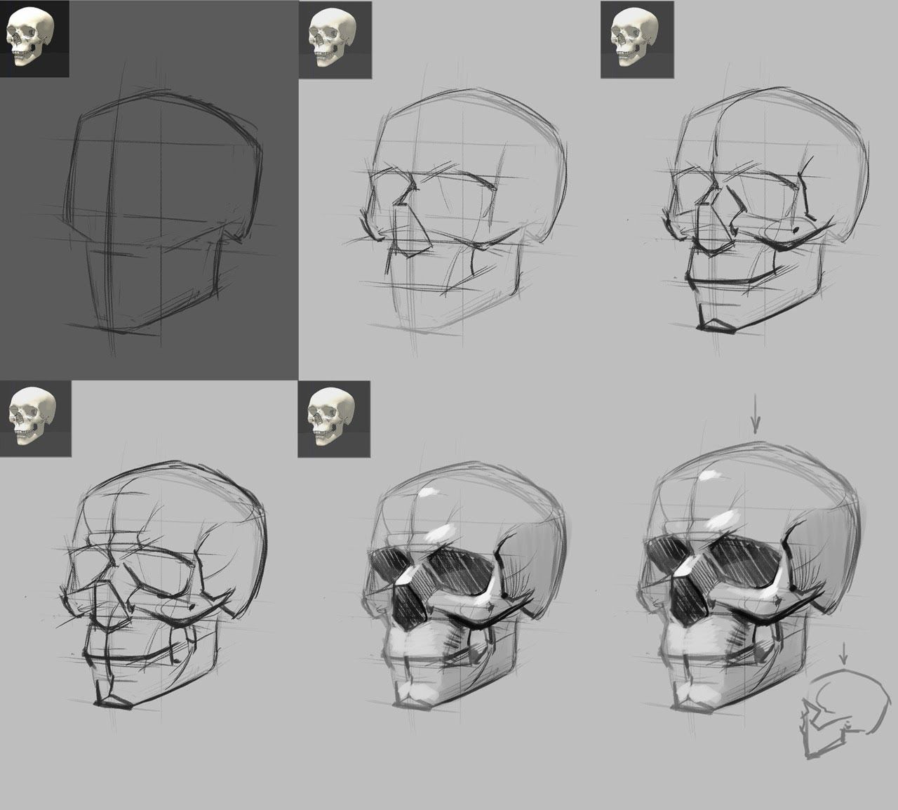 1280x1154 Desenhistas Autodidatas Anatomia Paint Skull Sketch, Drawings - Skull Drawing Reference