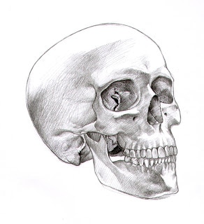292x320 Form Charcoal Human Skull And Eye - Skull Drawing Reference