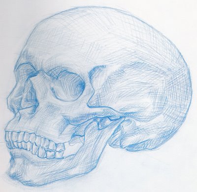 400x390 How To Draw A Skull Tutorials Drawn In Black - Skull Drawing Side View