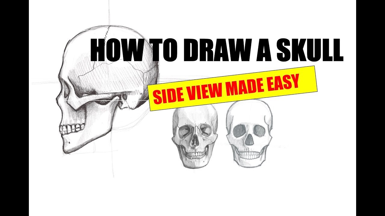 1280x720 How To Draw A Skull Side View - Skull Drawing Side View