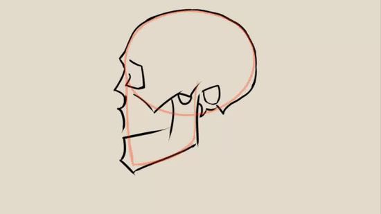 Skull Drawing Step By Step