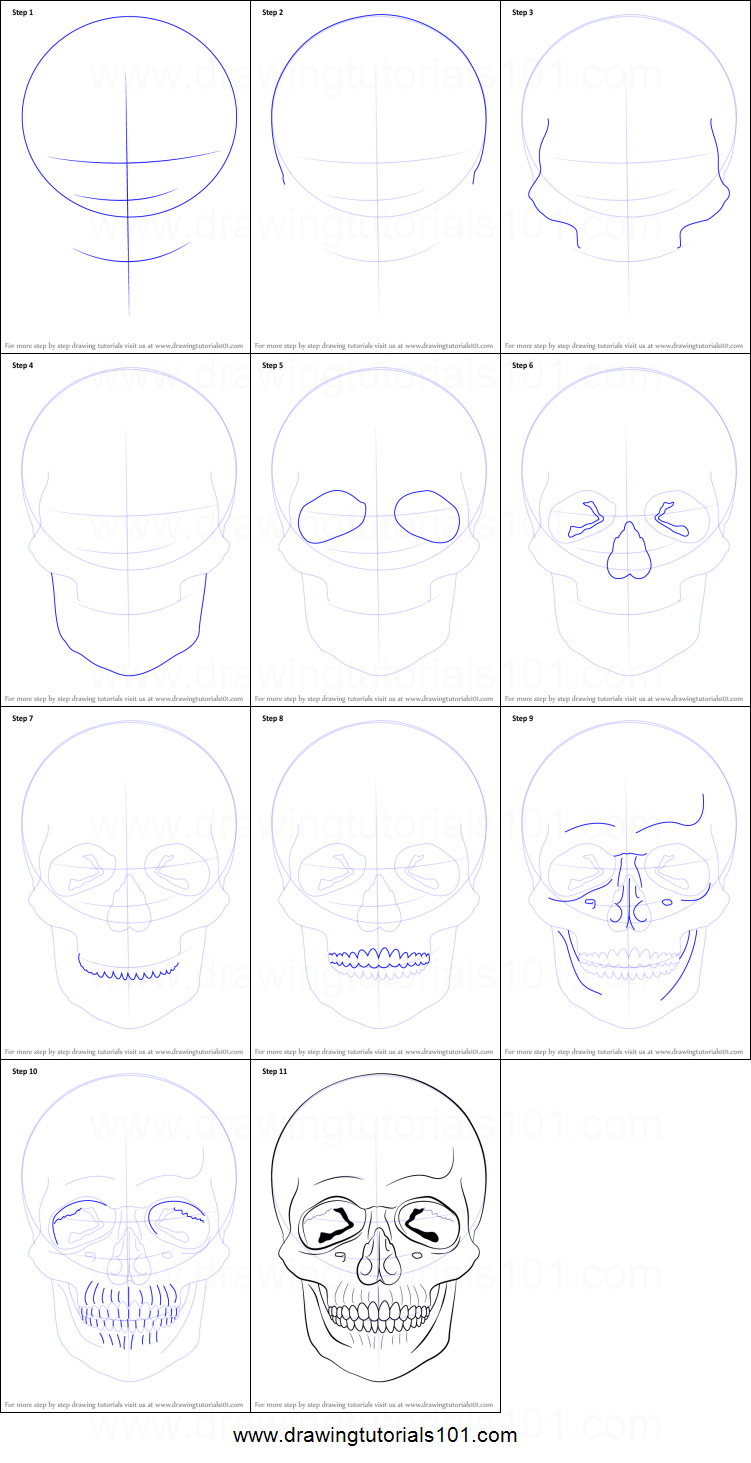 751x1463 How To Draw A Skull Printable Step - Skull Drawing Step By Step