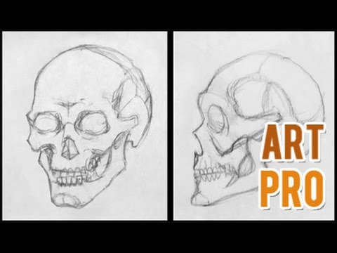 480x360 How To Draw A Skull Step - Skull Drawing Step By Step