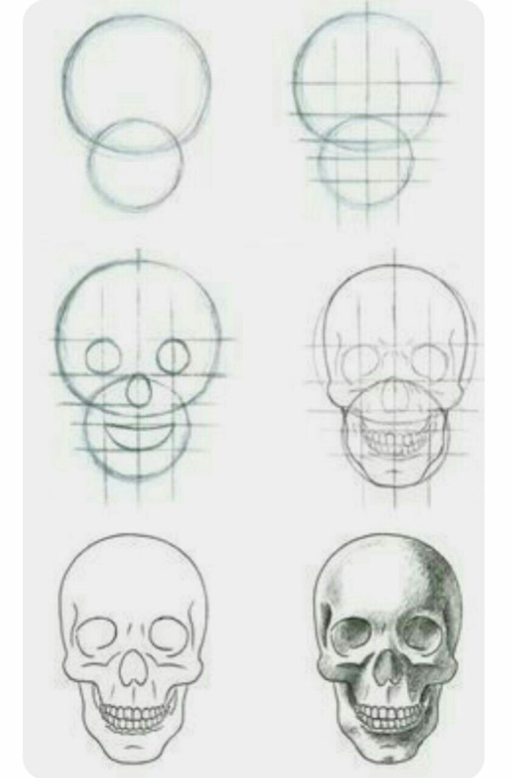736x1120 Image Result For Skull Drawing Step - Skull Drawing Step By Step
