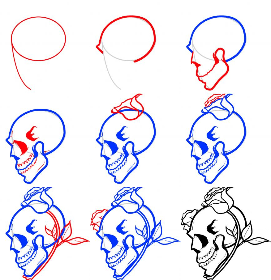 876x906 Skull Drawing Step - Skull Drawing Step By Step