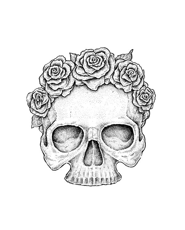 Skull Drawing Tumblr At Paintingvalley Com Explore Collection Of