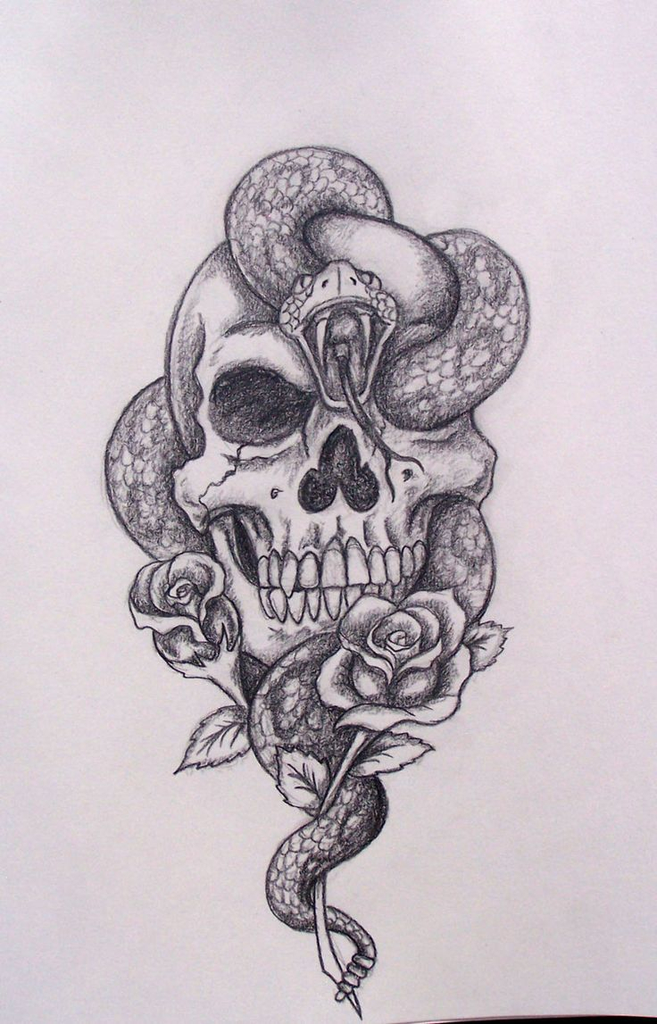 Skull Drawing Tumblr At Paintingvalley Com Explore Collection Of