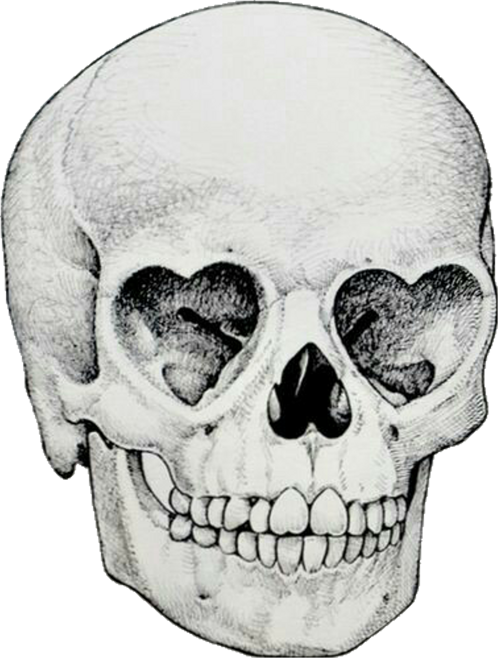 Skull Drawing Tumblr At Paintingvalley Com Explore Collection Of