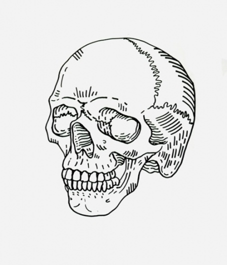 454x530 Best Illustration Likes Tumblr Drawing Anatomy Images - Skull Drawing Tumblr