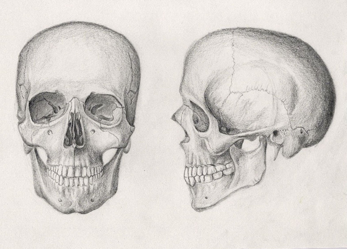 1211x870 How To Draw A Human Skull Step - Skull Drawing Tutorial