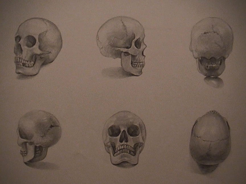 864x648 How To Draw A Skull Tutorials Drawn In Black - Skull Drawing Tutorial