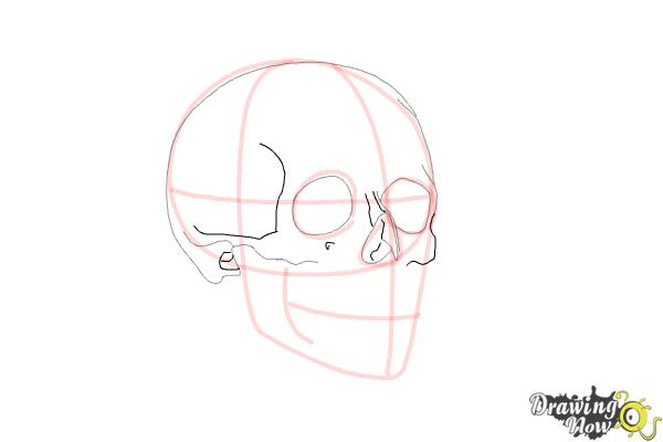600x400 How To Draw A Skull Step - Skull Drawing Tutorial