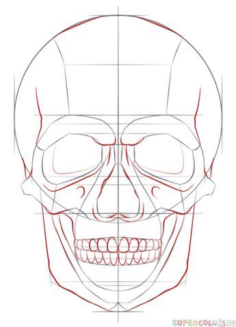 345x478 How To Draw A Human Skull Step - Skull Drawing Tutorial