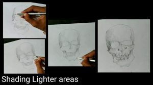 300x168 How To Draw Skull Step - Skull Drawing Tutorial