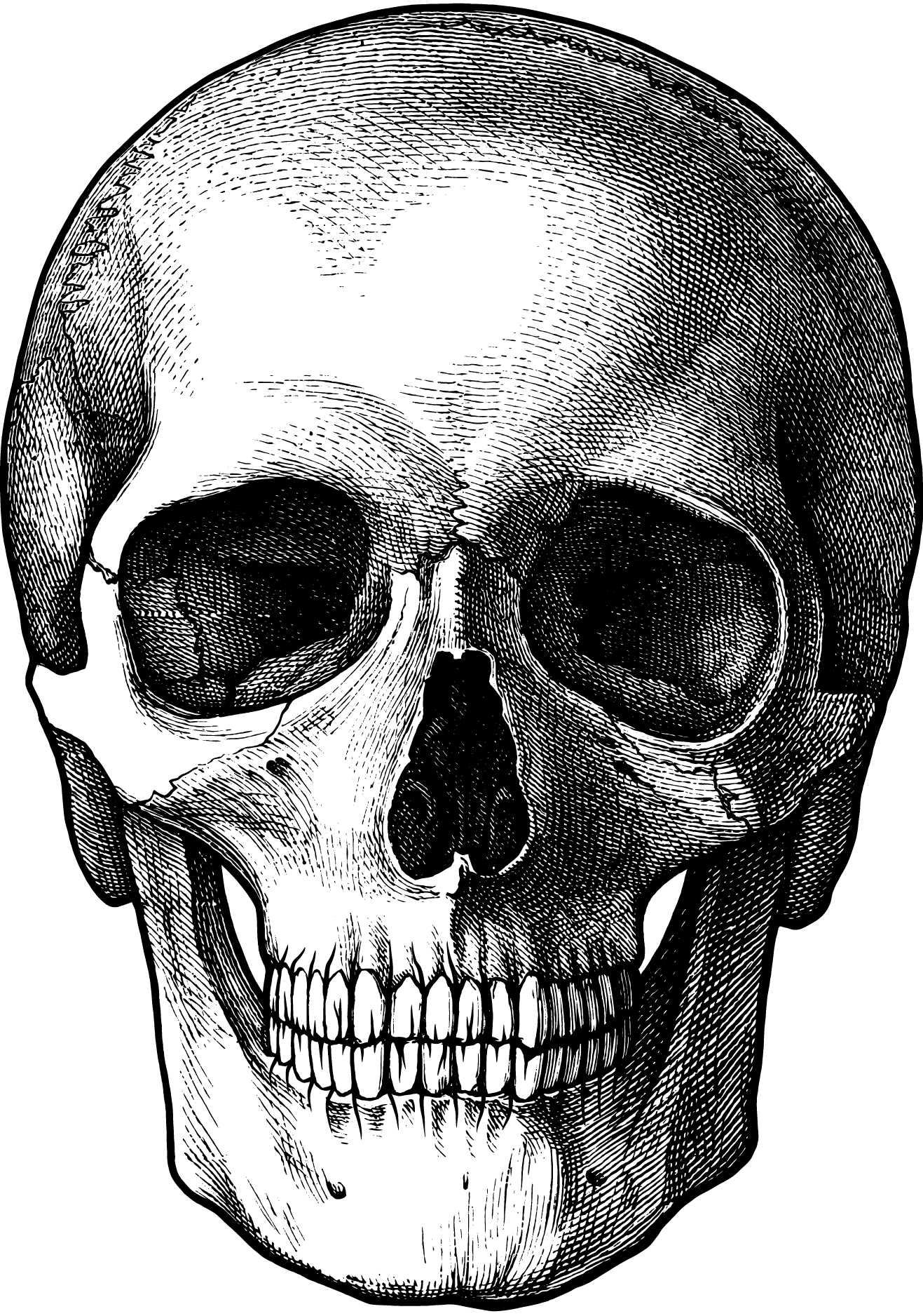 1317x1876 Human Skull Drawing - Skull Drawing Tutorial