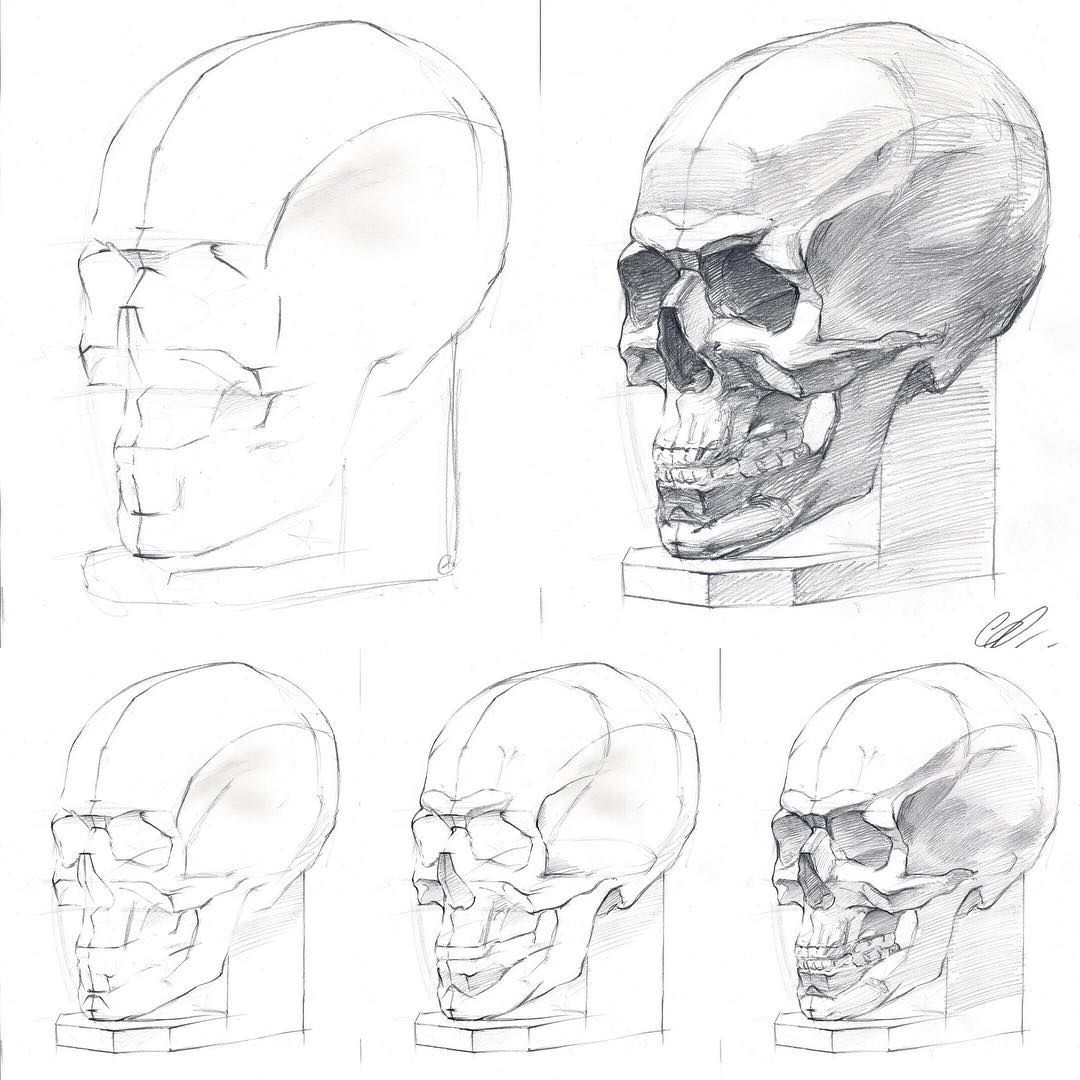 1080x1080  - Skull Drawing Tutorial