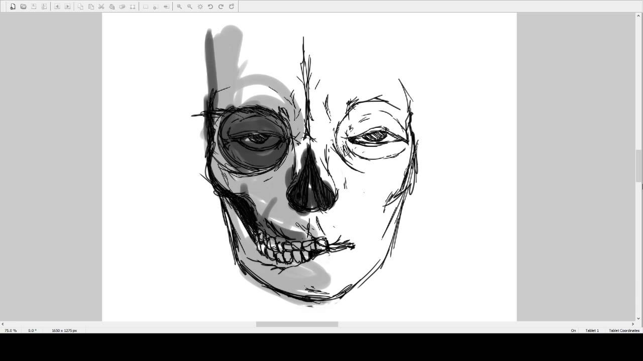 Skull Face Drawing at PaintingValley.com | Explore collection of Skull ...