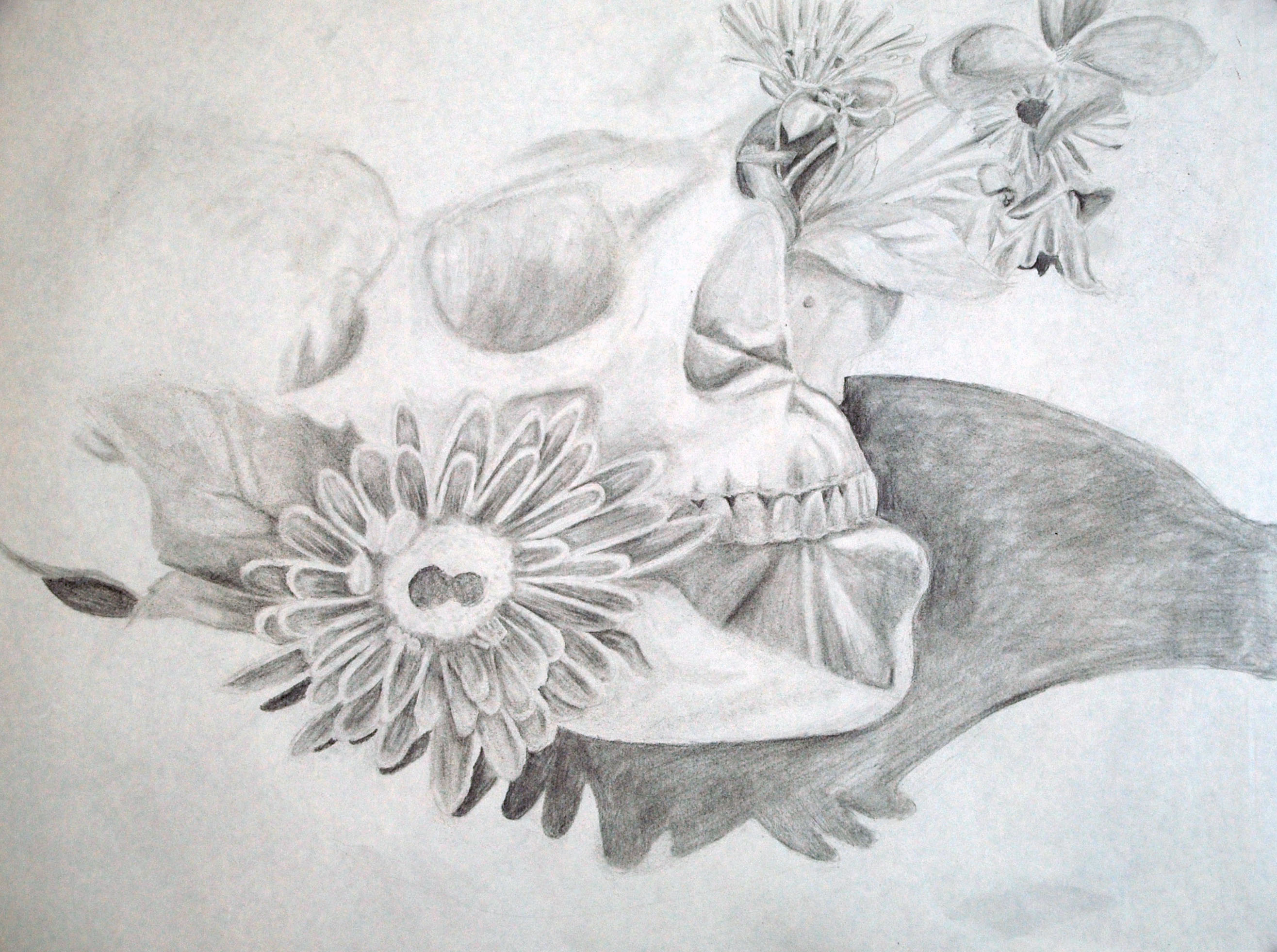 2632x1962 Skull Flowers Drawing Katiekhau - Skull Flower Drawing