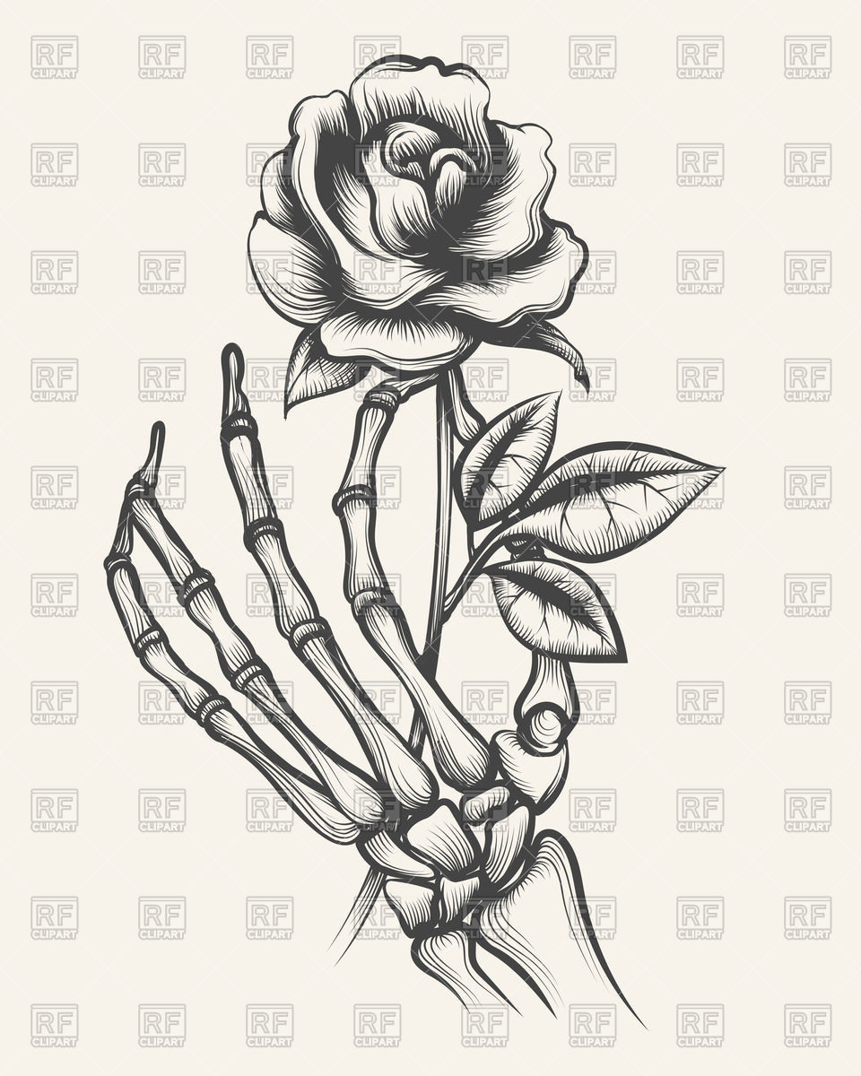960x1200 Hand Drawn Skeleton Bones Hand With Rose Vector Image - Skull Hand Drawing