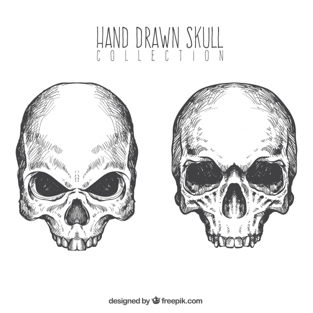626x626 Hand Drawn Skulls Vector Free Download - Skull Hand Drawing