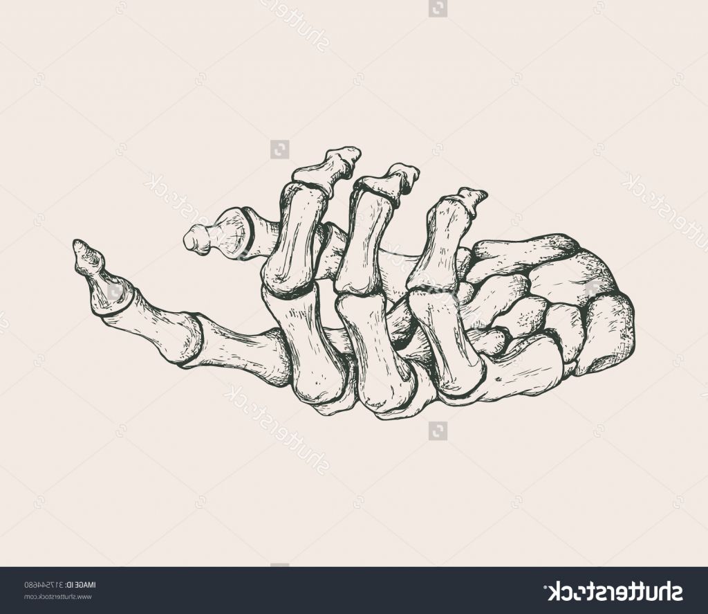 1024x887 Related Image Skeleton Drawings, How To Draw Hands, Drawings - Skull Hand Drawing