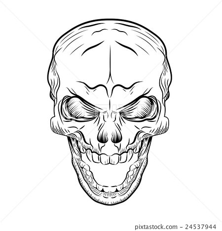 450x468 Skull Hand Drawn, Vector Illustration - Skull Hand Drawing