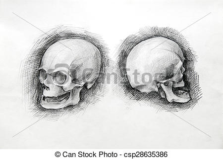 450x322 Skull Study Drawing Pencil On Paper Illustration With Two - Skull Hand Drawing