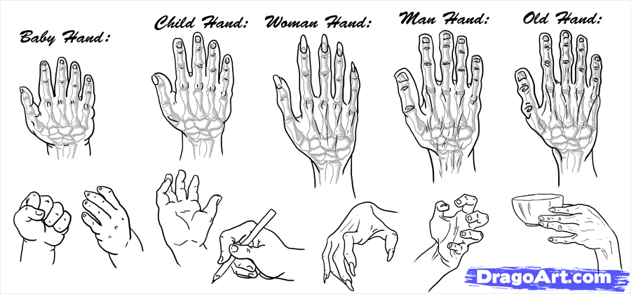 900x420 Hand Drawing Templates - Skull Hand Drawing
