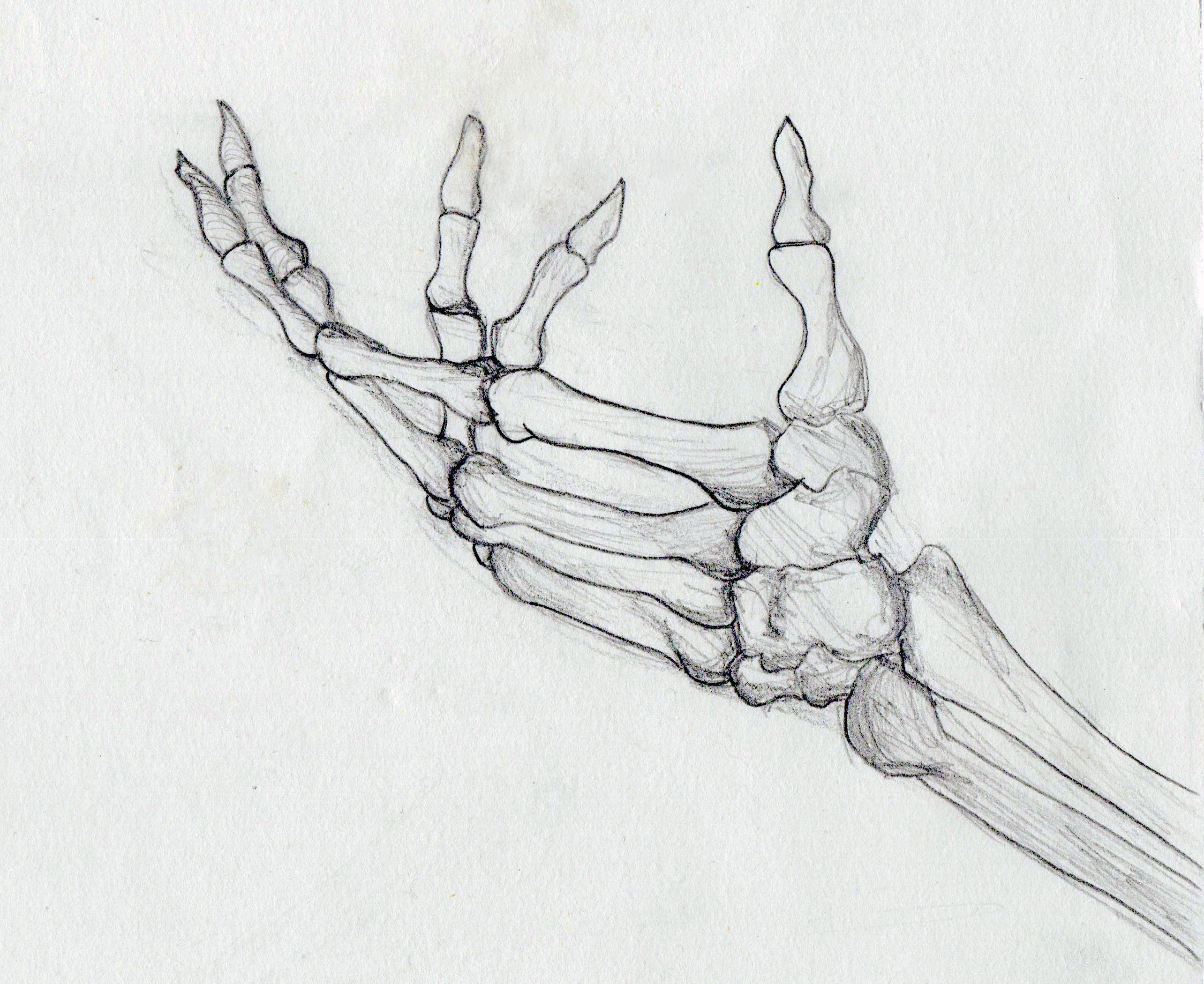 2568x2100 Skeleton Hand Side View - Skull Hand Drawing