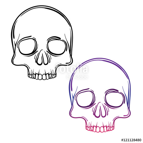 500x500 Skull Sketch Drawing Line Art Illustration Of Skull Hand Drawn - Skull Hand Drawing