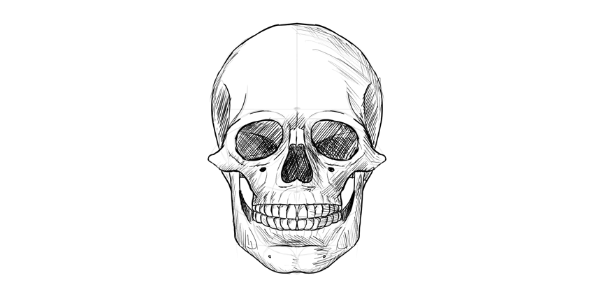 850x421 How To Draw A Skull - Skull Head Drawing