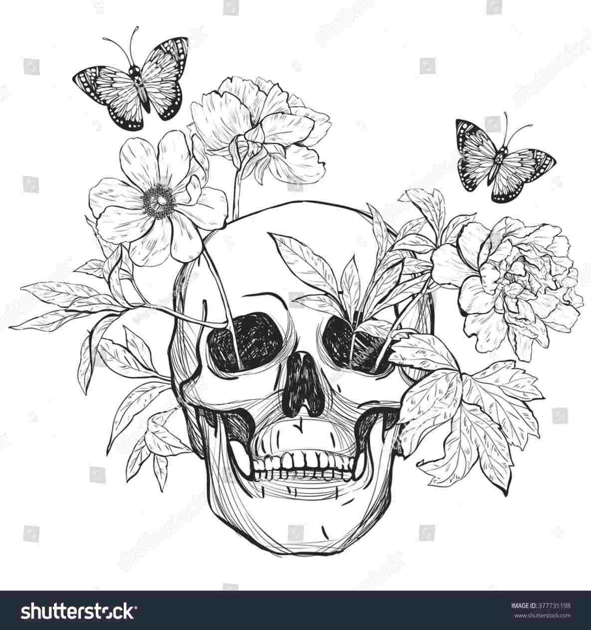 1185x1264 Drawing Skull Flower Drawing Human Skull Head Flowers Grey Stock - Skull Head Drawing