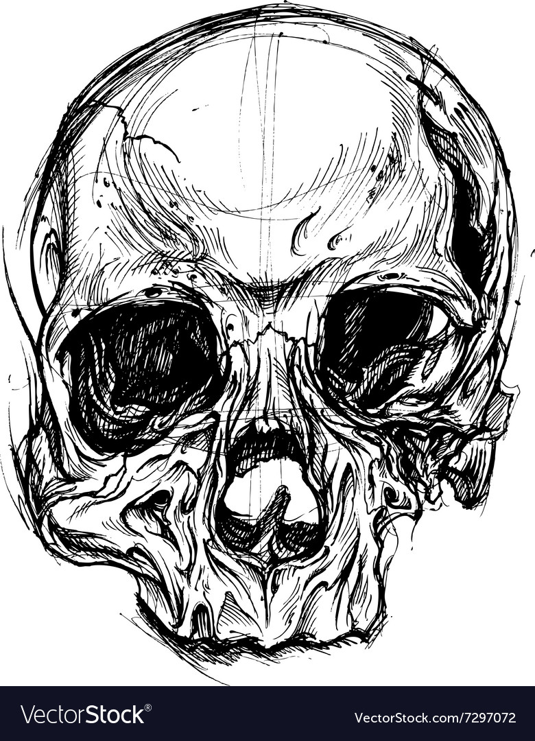 780x1080 Huge Collection Of 'broken Skull Drawing' Download More Than - Skull Line Drawing