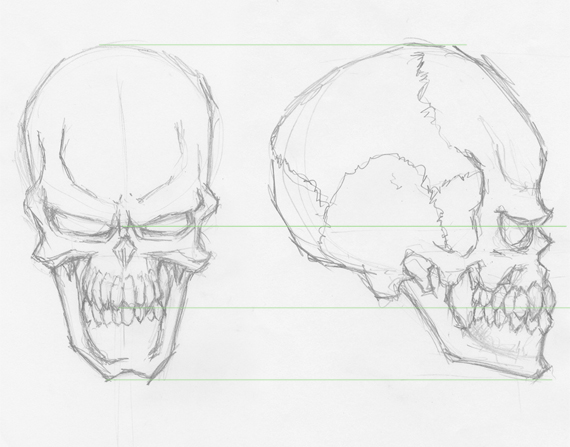 570x447 How To Draw Evil Vector Skulls In Illustrator - Skull Line Drawing
