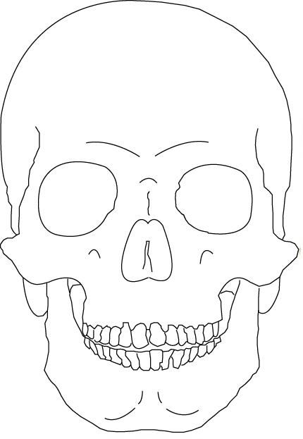 430x623 Skull - Skull Outline Drawing