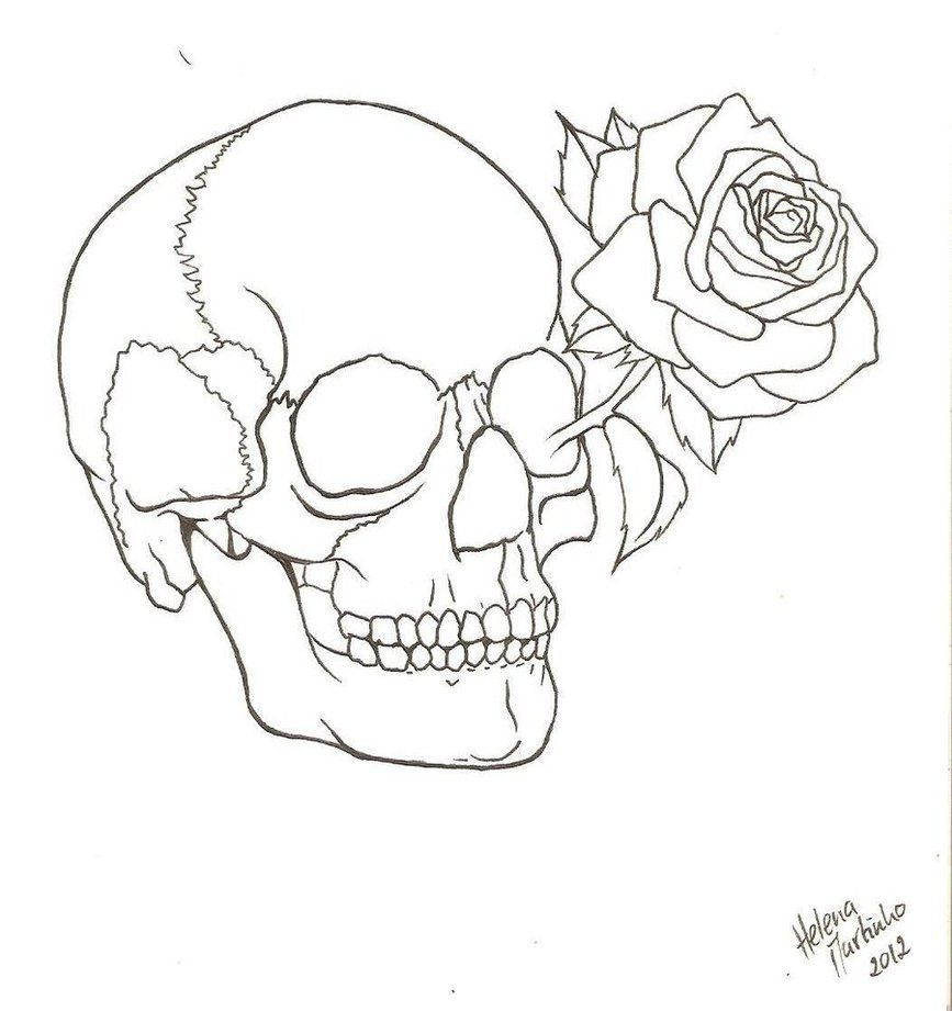 867x921 Skull Rose Drawing Outline - Skull Outline Drawing