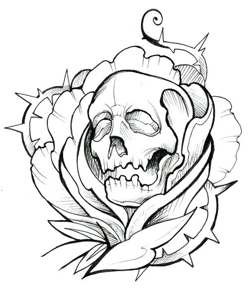 Skull Outline Drawing at PaintingValley.com | Explore collection of ...