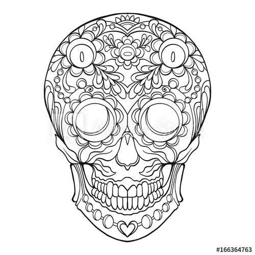 Skull Outline Drawing at PaintingValley.com | Explore collection of ...