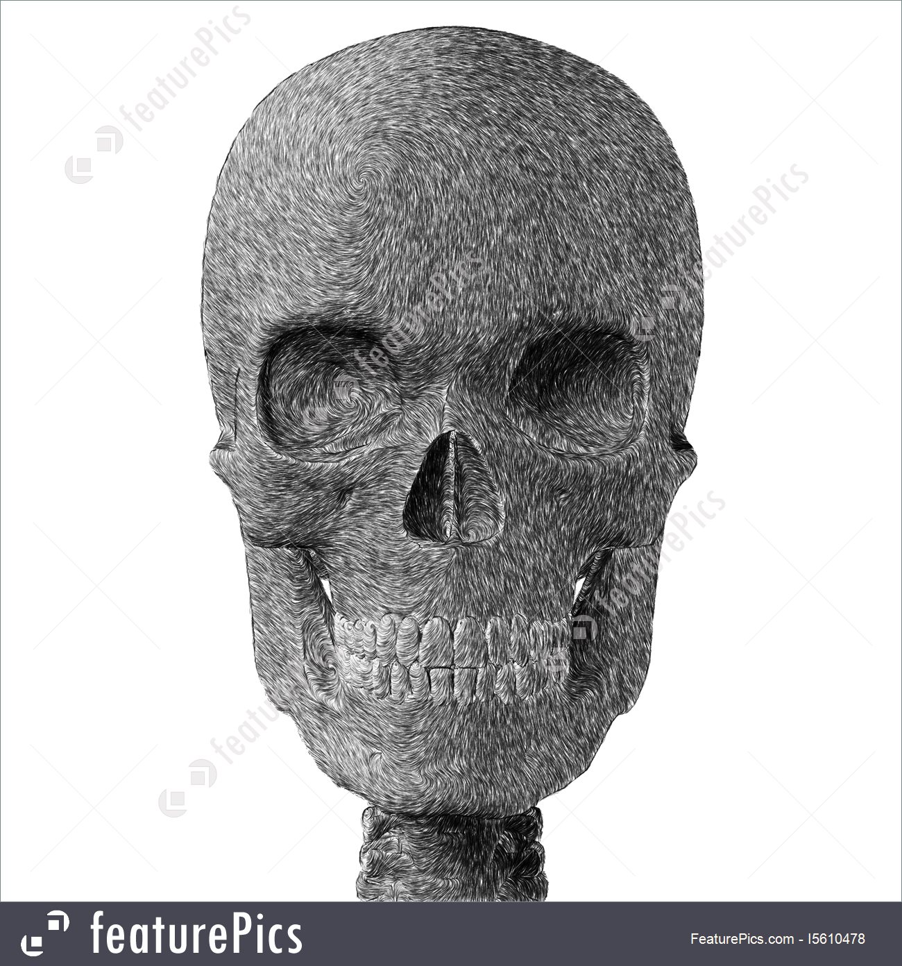 1300x1392 Human Skull Pencil Sketch Stock Illustration - Skull Pencil Drawing
