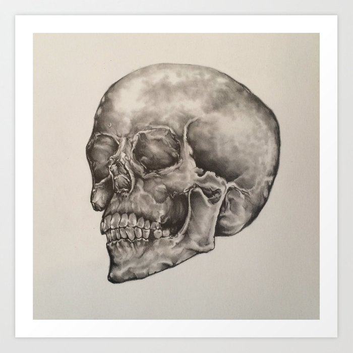 Skull Pencil Drawing at PaintingValley.com | Explore collection of ...