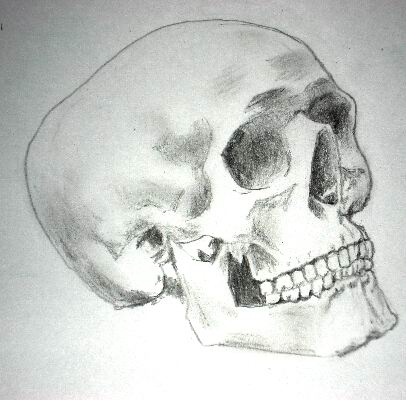 406x400 Pencil Drawing Of A Skull, Easy Steps On How To Draw A Skull - Skull Pencil Drawing