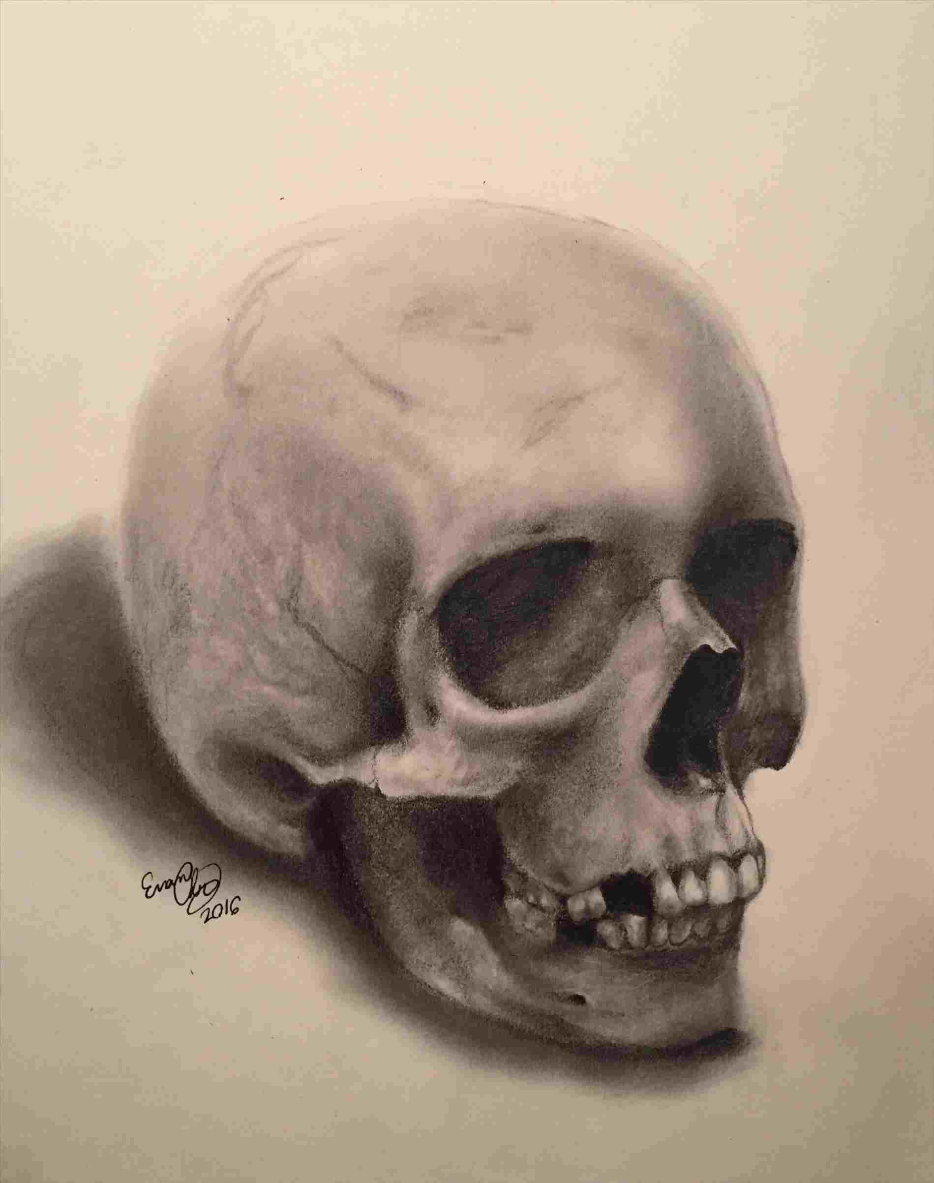 1899x2405 Pencil Sketches Of Skulls - Skull Pencil Drawing