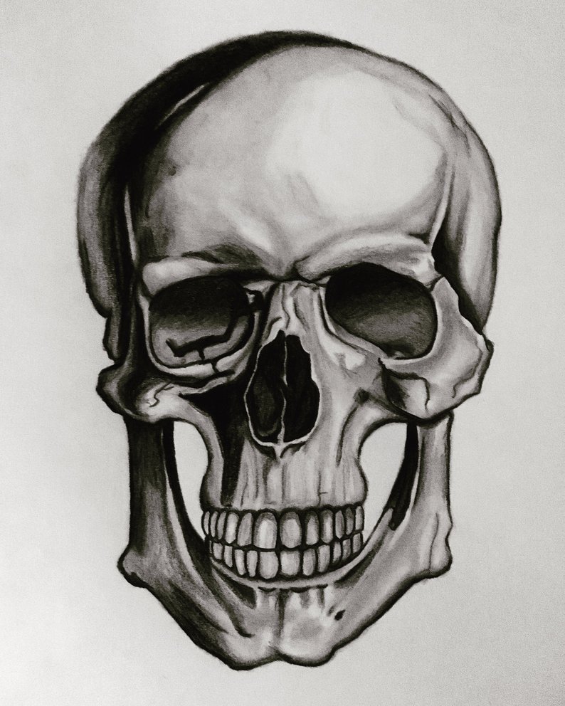 794x992 Print Skull Pencil Drawing Etsy - Skull Pencil Drawing