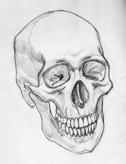 432x561 skull pencil sketch new beat from brain - Skull Pencil Drawing