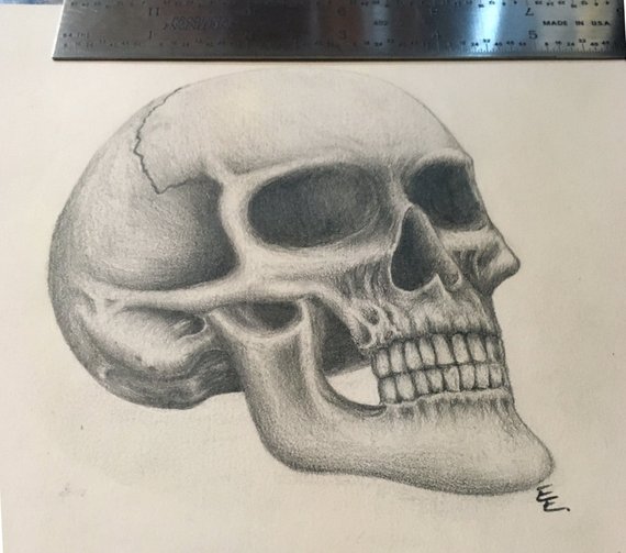 570x503 Skull Pencil Drawing Original Etsy - Skull Pencil Drawing