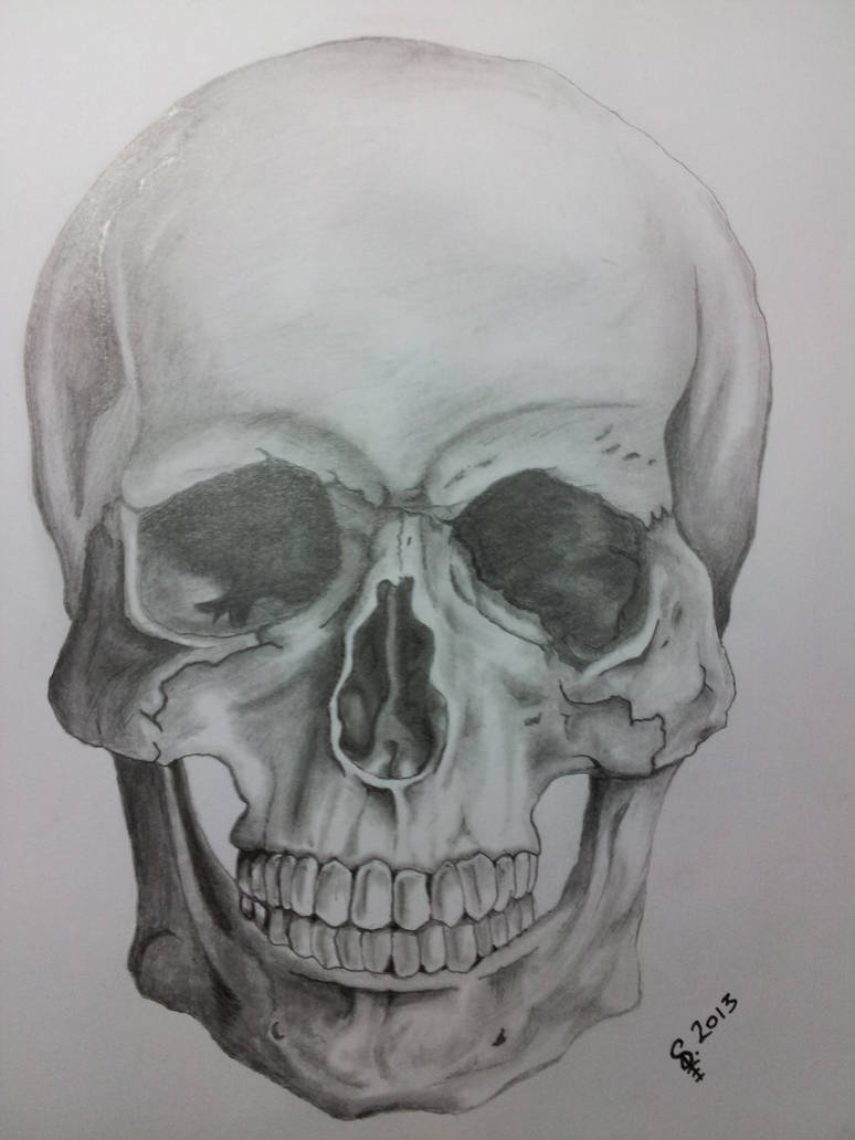 774x1032 Skull Pencil Sketch - Skull Pencil Drawing