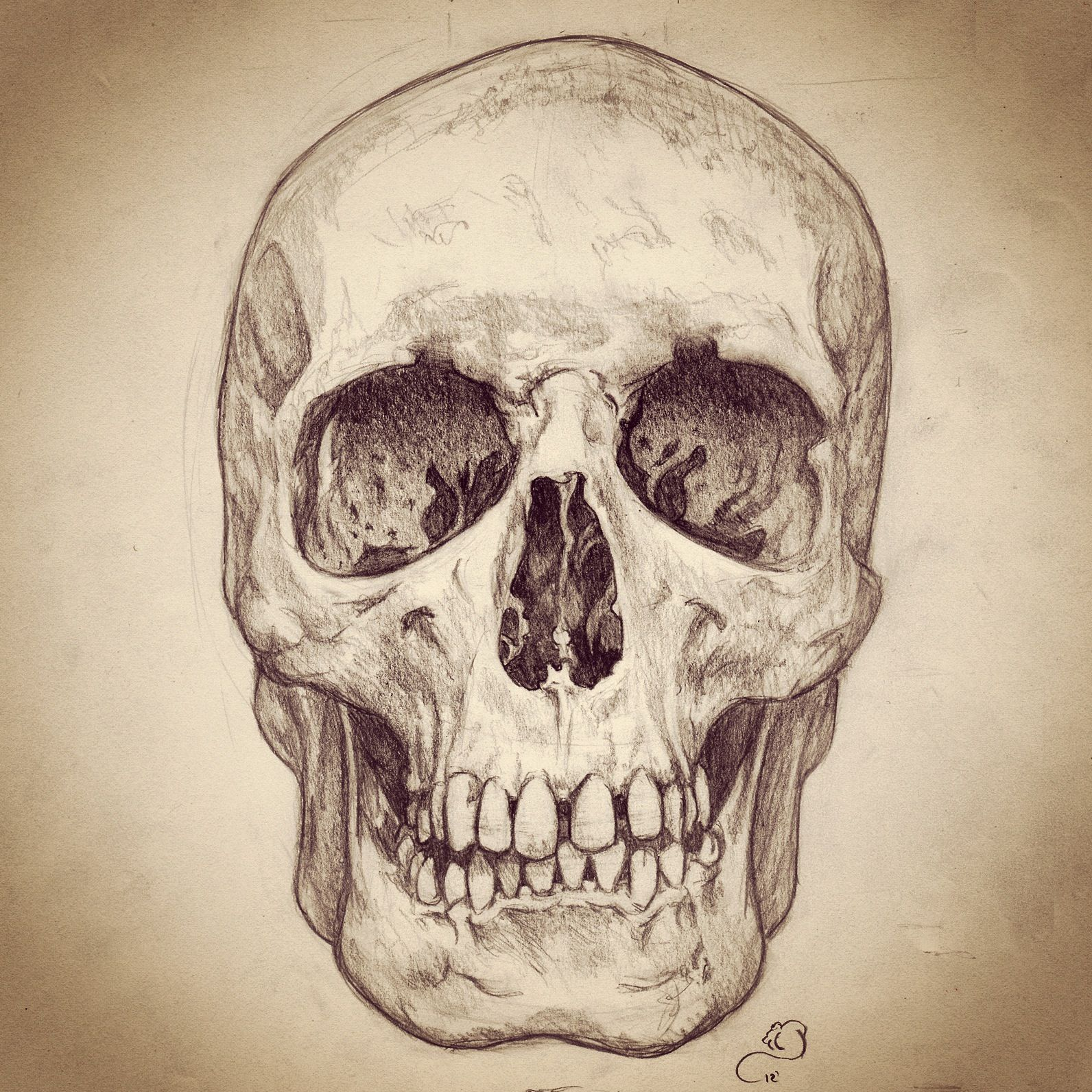 Skull Pencil Drawing at PaintingValley.com | Explore collection of ...